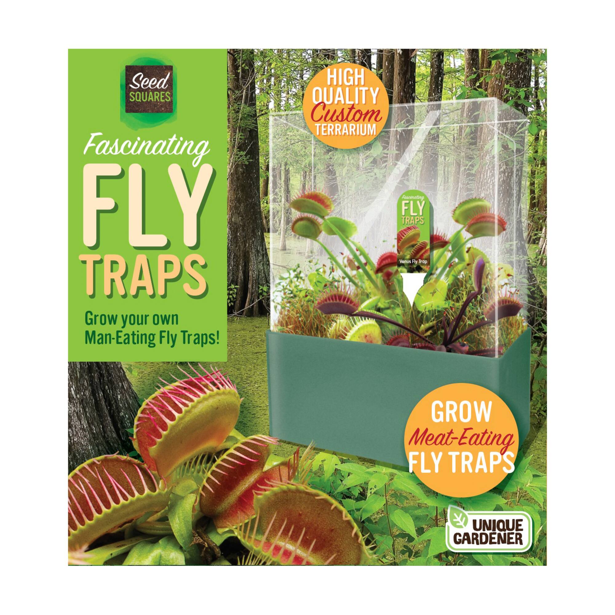 Seed Squares - Fascinating Fly Traps